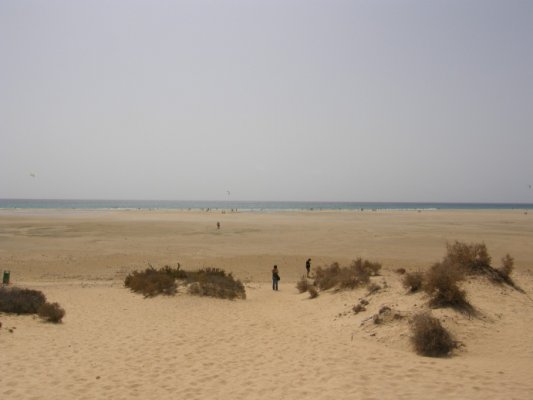 Playa de Sotavento de Jandia.jpg